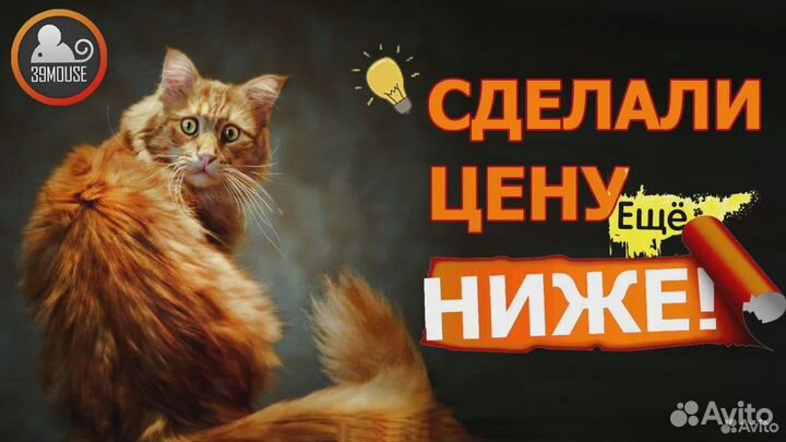 Ноутбуки c диагональю 10.6