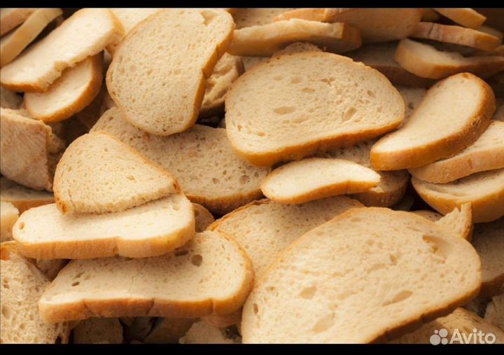 Овощи и хлеб на корм животным