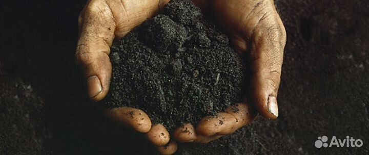 Чернозем торф перегной от 5 кубов