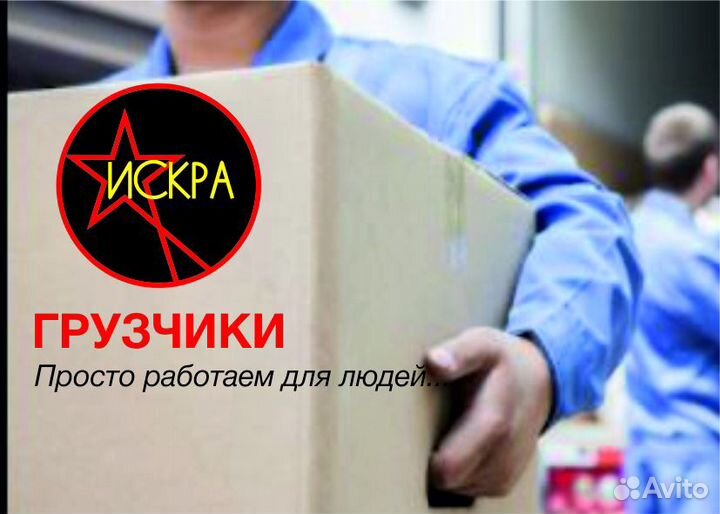 Заказ услуг грузчиков на час, загрузить разгрузить