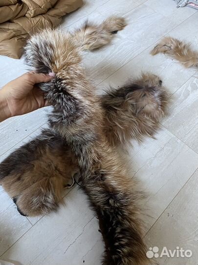 Меховой воротник лиса шкурки