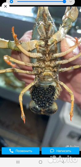 Аквариум на 600литров