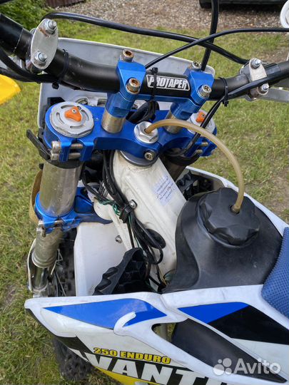 Avantis 250 enduro