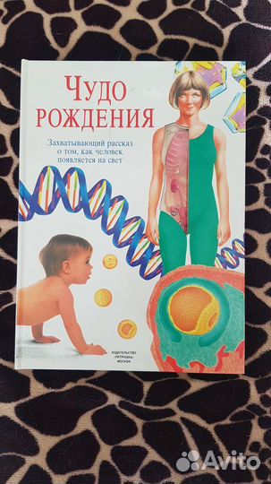 Новая Брайан Дженни Чудо рождения