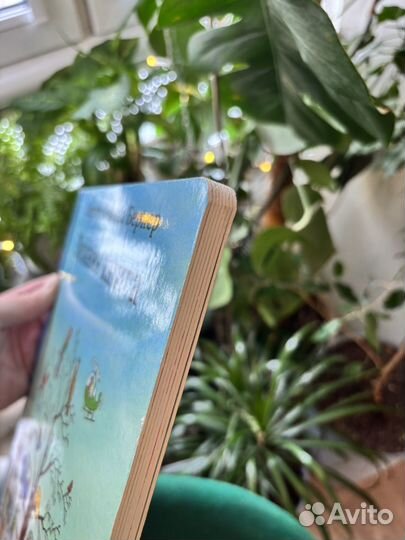 Сюзанна ротраут бернер Зимняя Книга