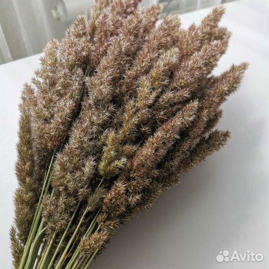 Сухоцветы букет Вейник