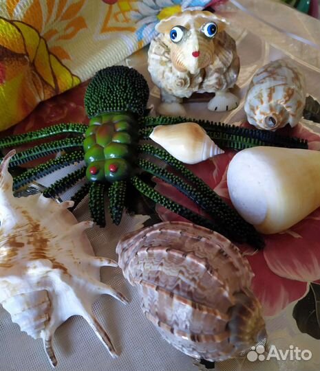 Морские ракушки с Черного моря, игрушки качеств