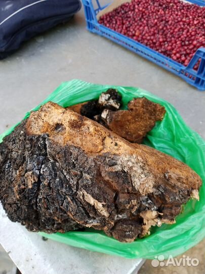 Банки медицинские, массажёр, чага, кегель