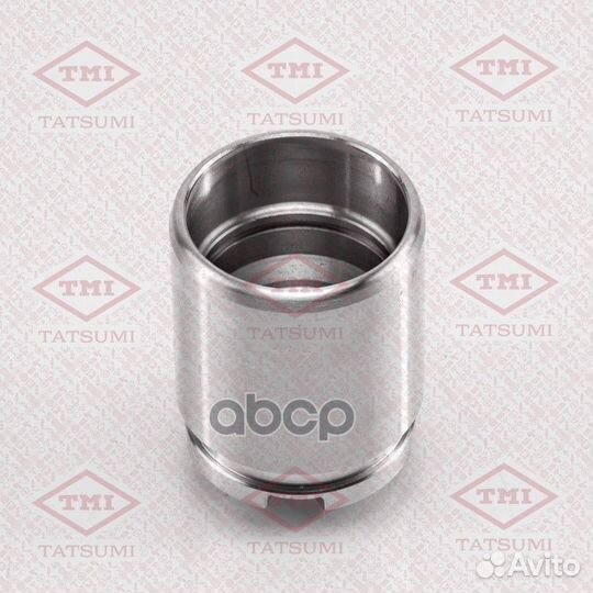 Поршень заднего тормозного суппорта TCG1001 TAT