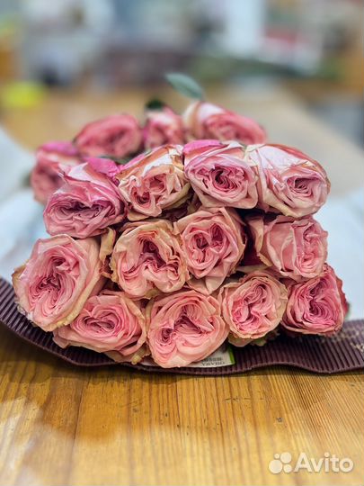 Пионовидные розы