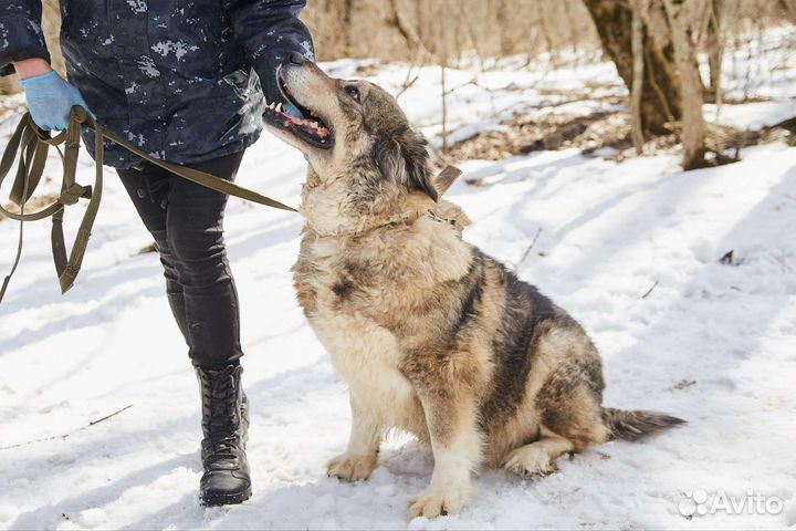 Ищет дом классная большая Мадина