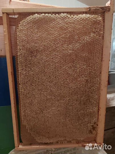 Мёд цветочный 3 литра доставкой