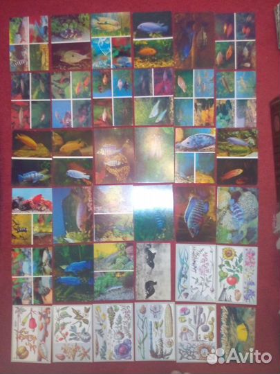 Открытки СССР Животные