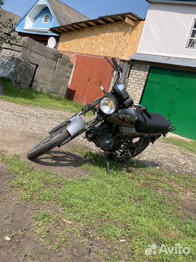 Орион грифон 125