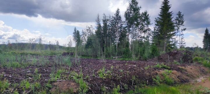 Участок 12 сот. (СНТ, ДНП)