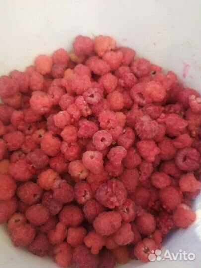 Малина, Смородина