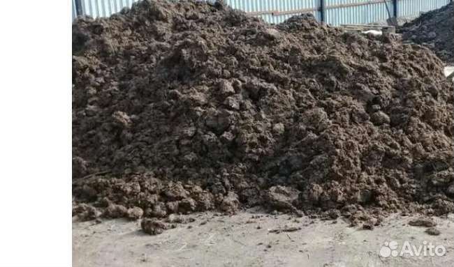Продам перегной