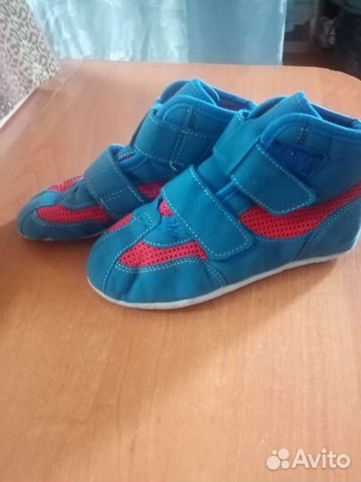 Самбовка и самбовки для спора