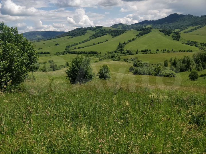 Участок 10 сот. (СНТ, ДНП)