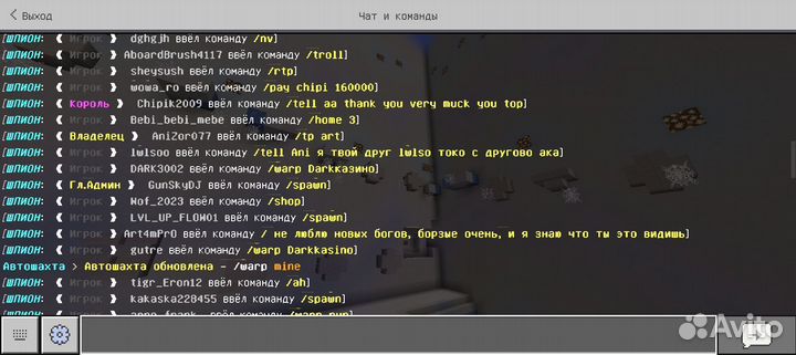 Привилегия в игре