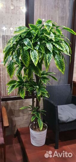 Искусственное растение в горшке