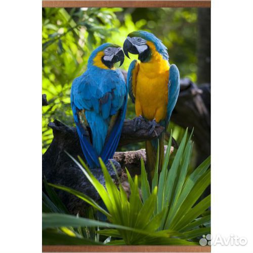 Настенный обогреватель картина