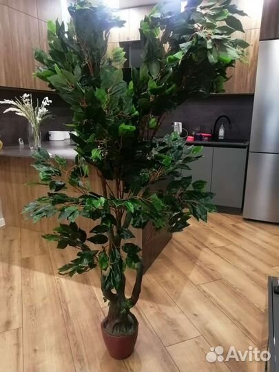 Фикус искусственный 170см
