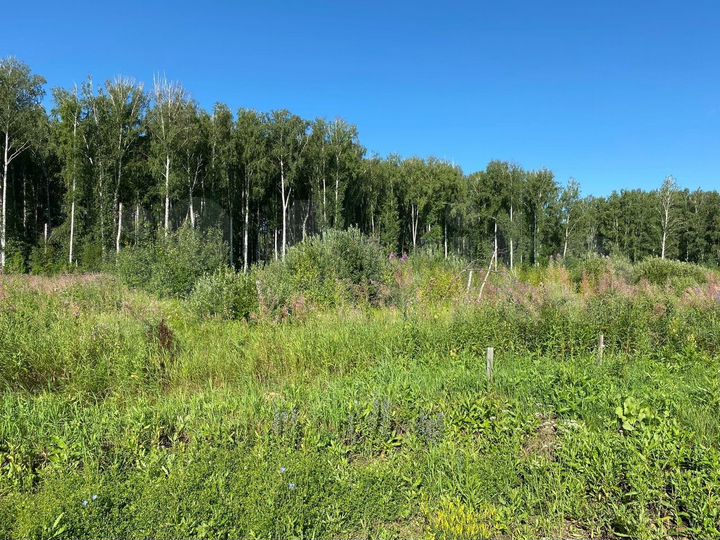 Участок 8 сот. (ИЖС)