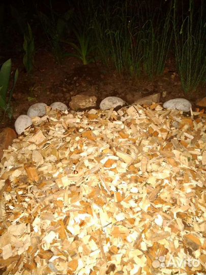 Щепа.Ольховая, берёза, тополь,липа