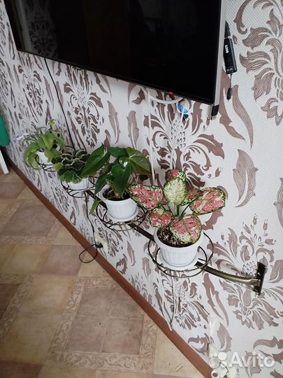 Подставка под цветы настенная горизонтальная