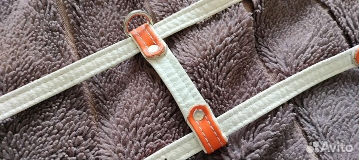 Шлейка для маленькой собаки