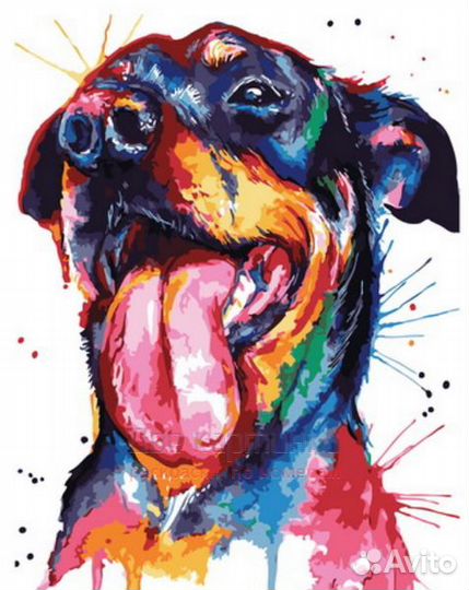 Картина по номерам 40x50 Разноцветный портрет