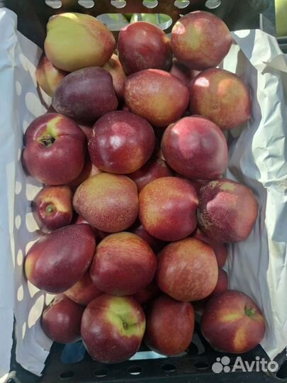 Фрукты Овощи Зелень Сухофрукты С Доставкой