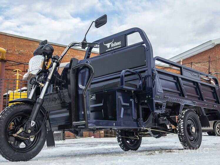 Купить грузовой электрический трицикл Rutrike с доставкой по России - RuTrike