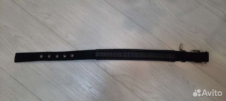 Ошейник для собак