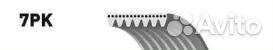 Ремень поликлиновый 7PK2060