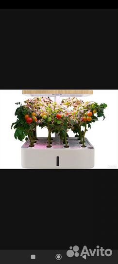 Гидропоника установка