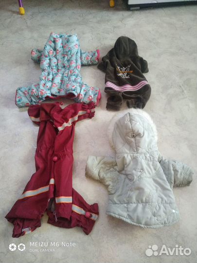 Одежда для собак