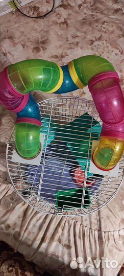 Клетка для грызунов