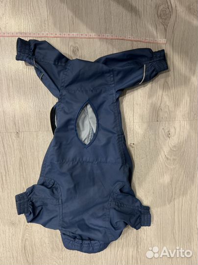 Одежда для собак