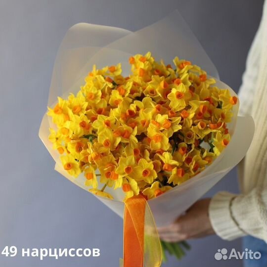 Букет нарциссов с беспл. доставкой