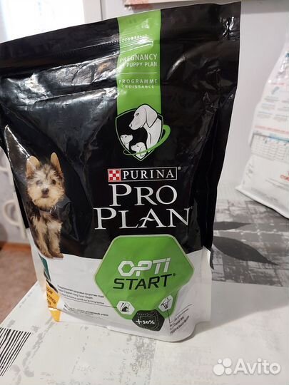 Сухой корм для собак