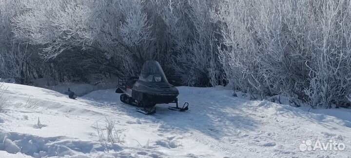 Снегоход рысь