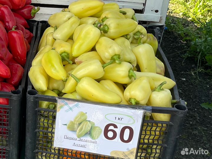 Перец болгарский желтый