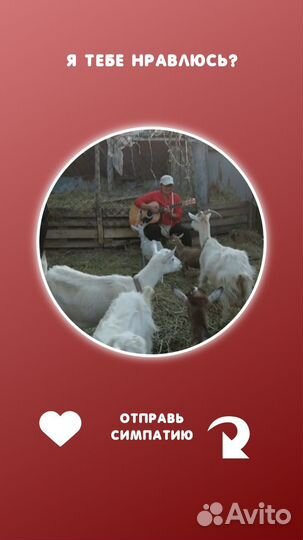 Козье молоко оптом.яйца куриные