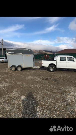 Перевозки лошадей