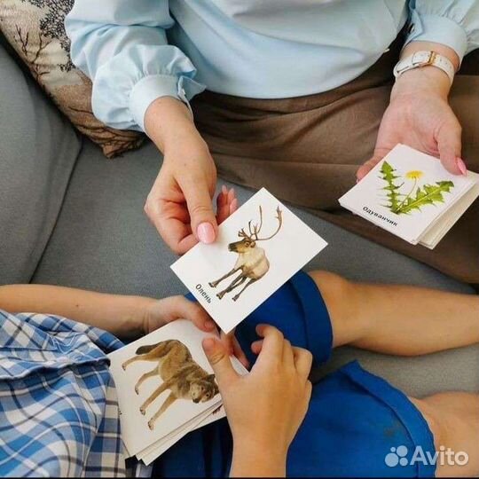 Подготовка к школе