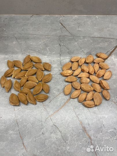 Косточки сливы для творчества