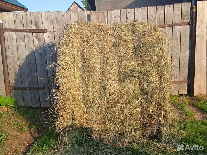 Прессовка сена