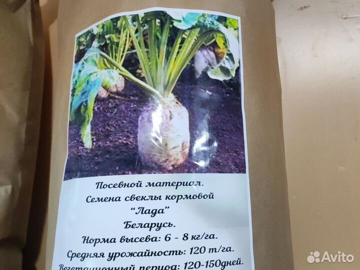 Семена кормовой свеклы LADA